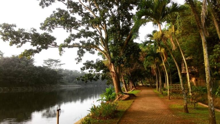 Nikmati Serunya Jogging Track di Ragunan yang Asri dan Bersih